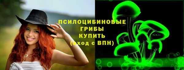 винт Богородск