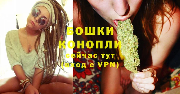 трава Богданович