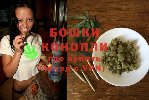 гидропоника Белокуриха