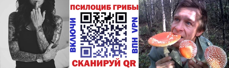 Псилоцибиновые грибы прущие грибы  Городище 