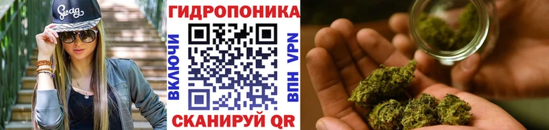 Марихуана сатива  mega tor  Городище 